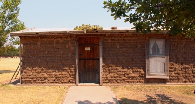 [Dwelling with a wood-framed wooden door and a wood-framed window with the rest made out of sod blocks. Cactus is growing on the roof above the door.]